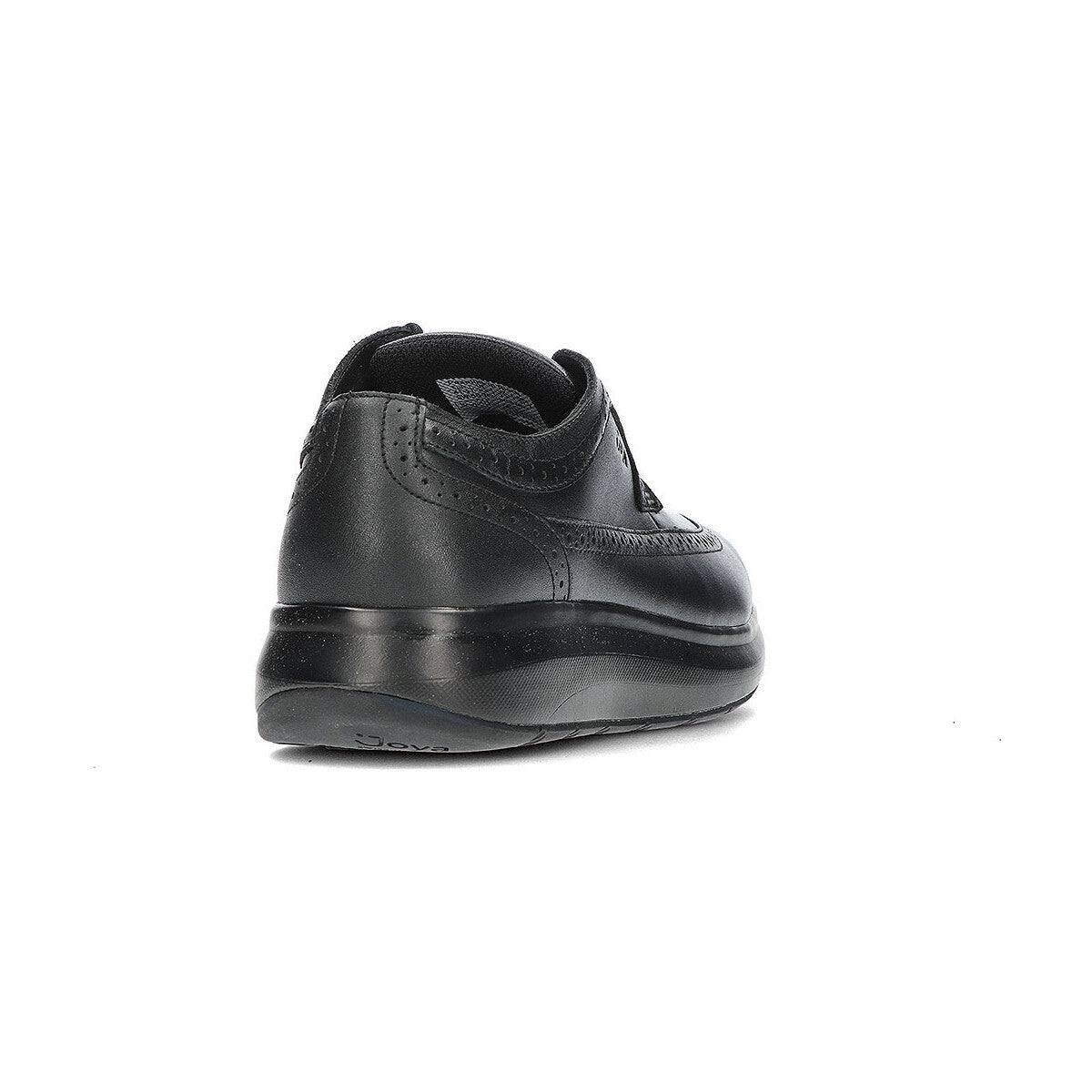 Paso Fino III black