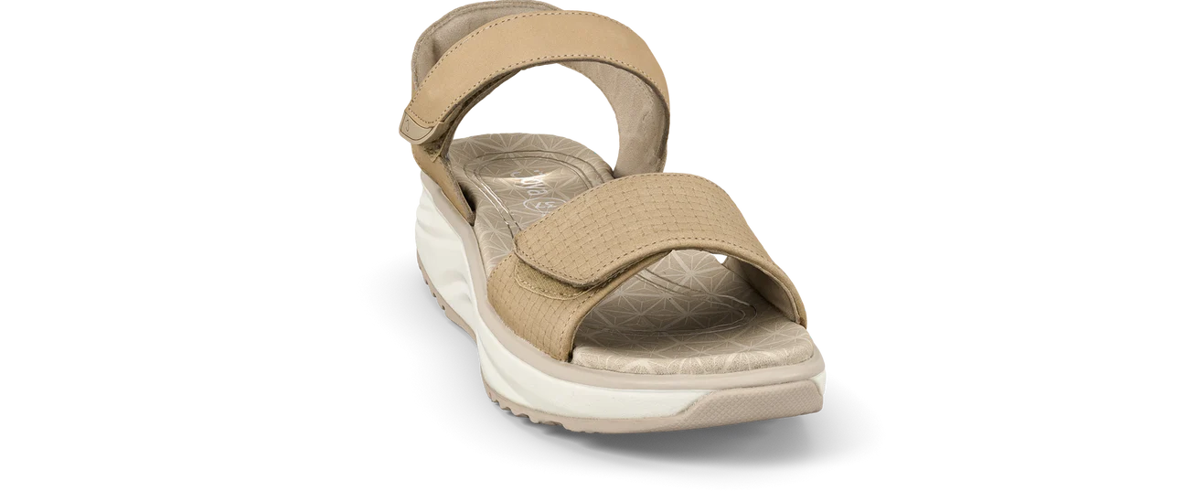 Flores beige