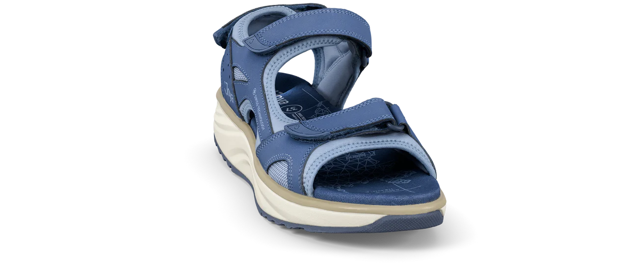 Komodo blue